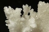 Sparkling Cave Calcite (Aragonite) Formation - Potosi Mine, Mexico #329257-3